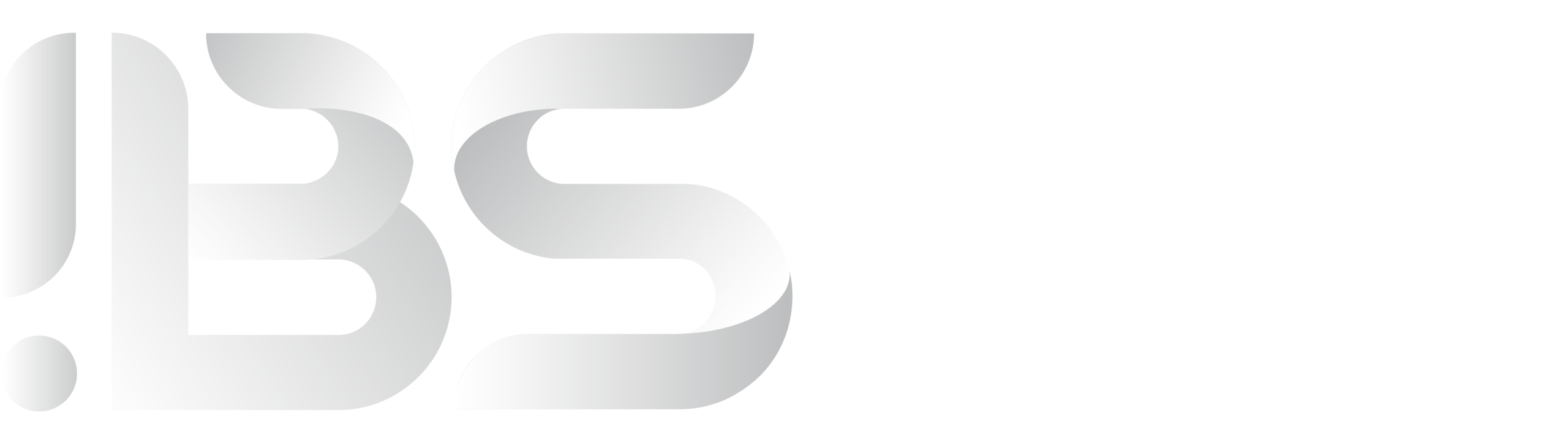 Logo IBS